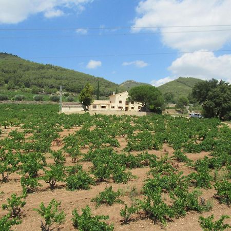 Casa Rural Cal Marti El Pla de Manlleu Екстериор снимка