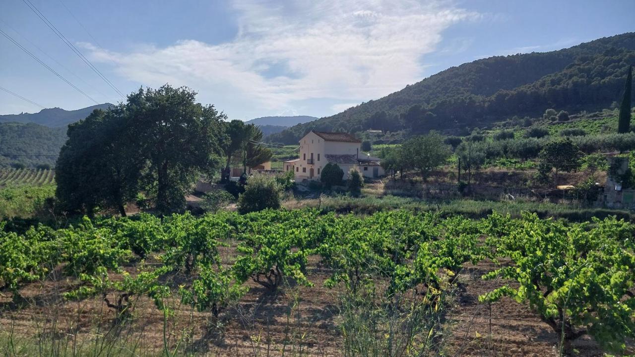 Casa Rural Cal Marti El Pla de Manlleu Екстериор снимка