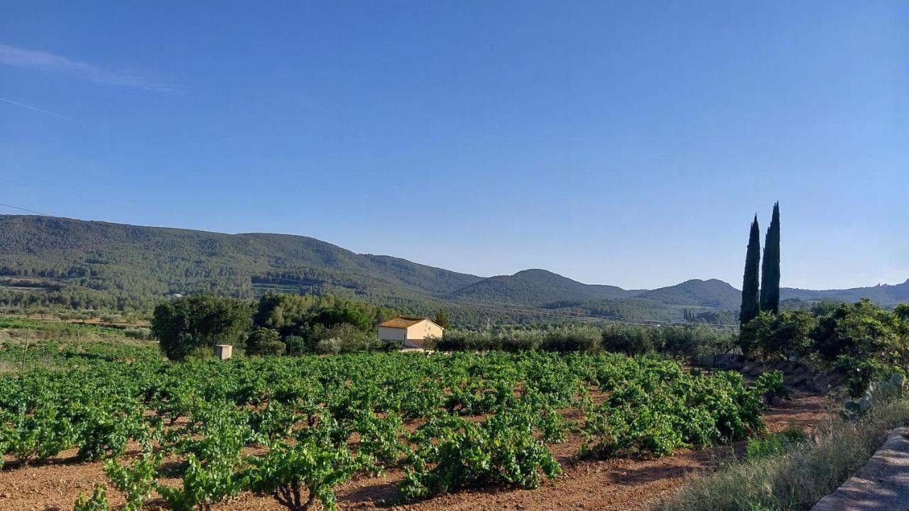 Casa Rural Cal Marti El Pla de Manlleu Екстериор снимка