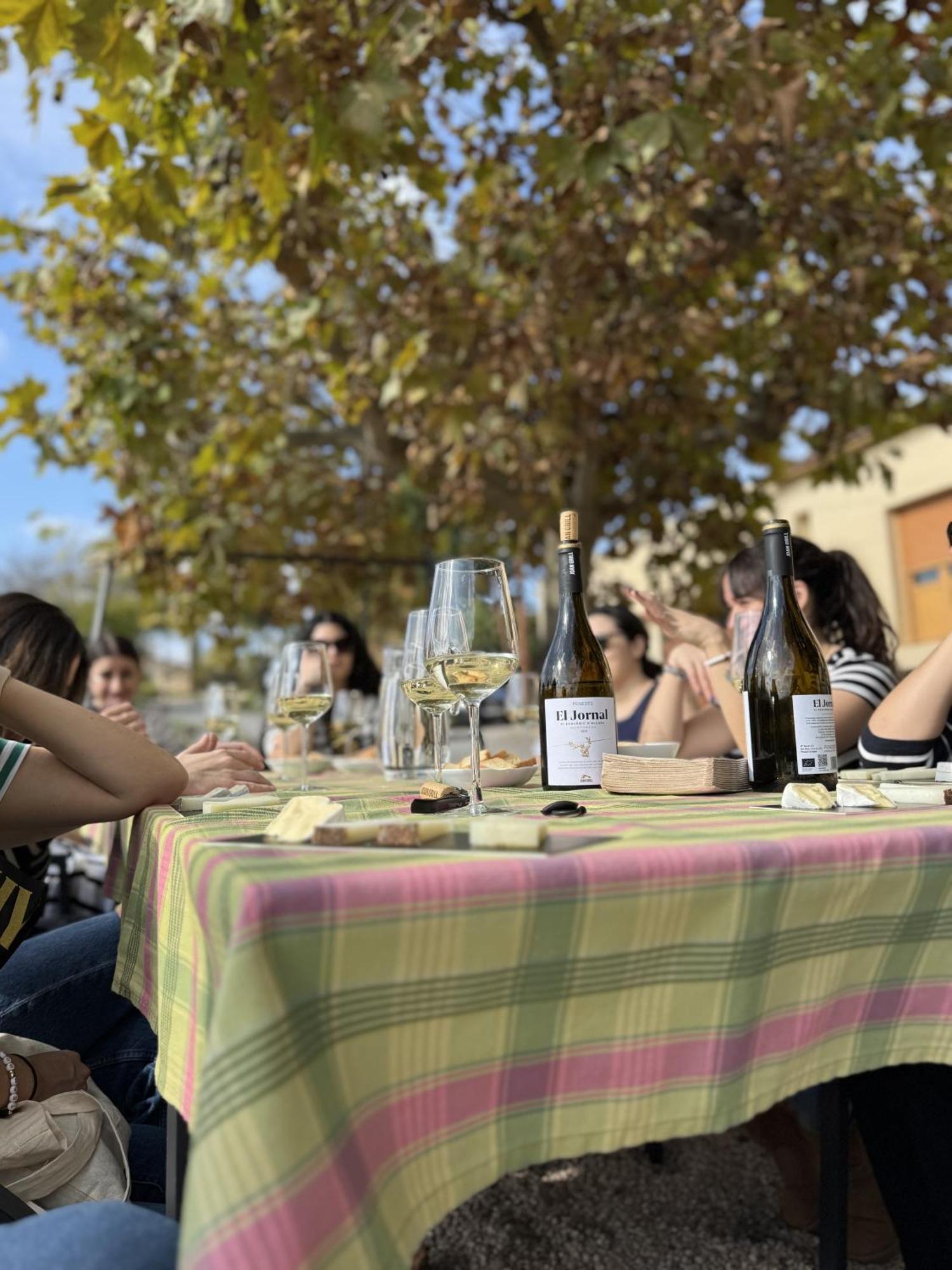 Casa Rural Cal Marti El Pla de Manlleu Екстериор снимка